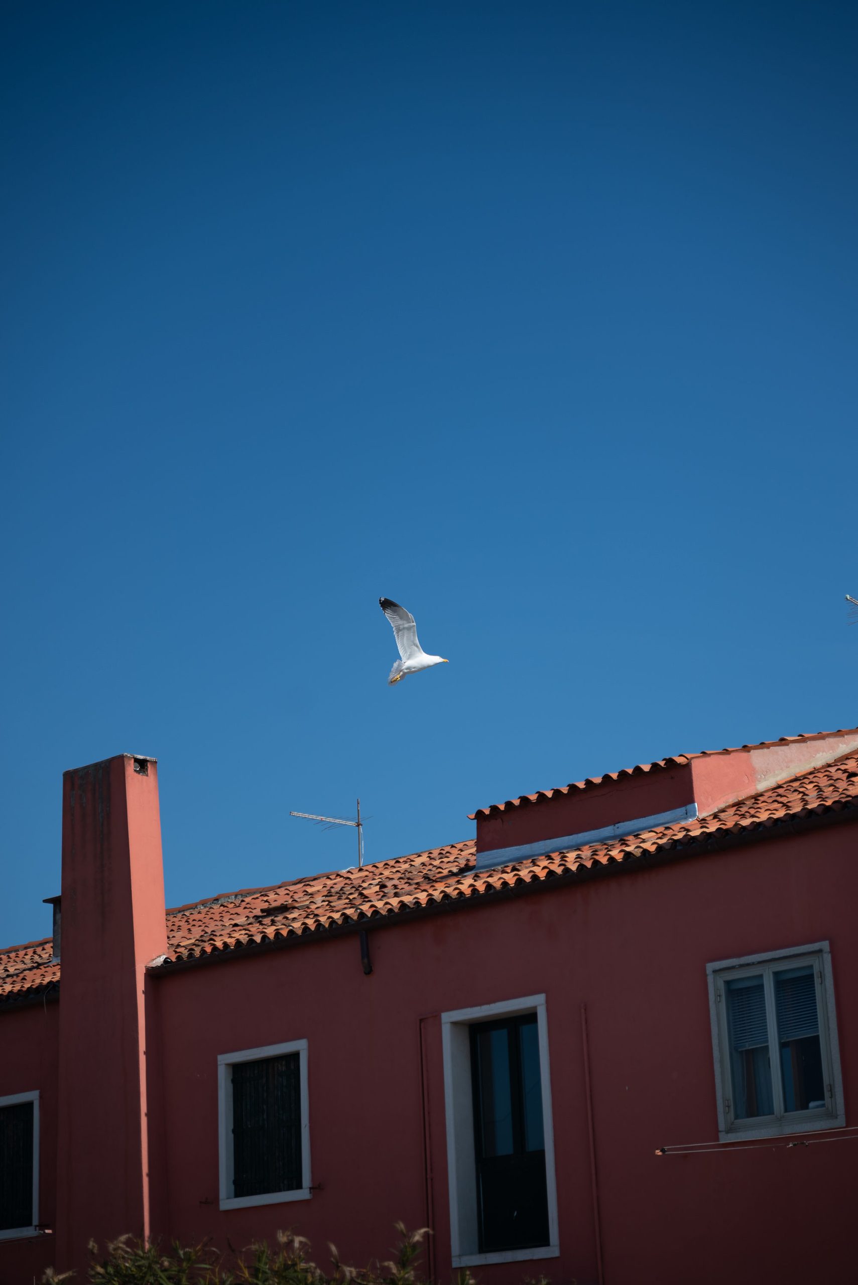 PanificioCuore-8293
